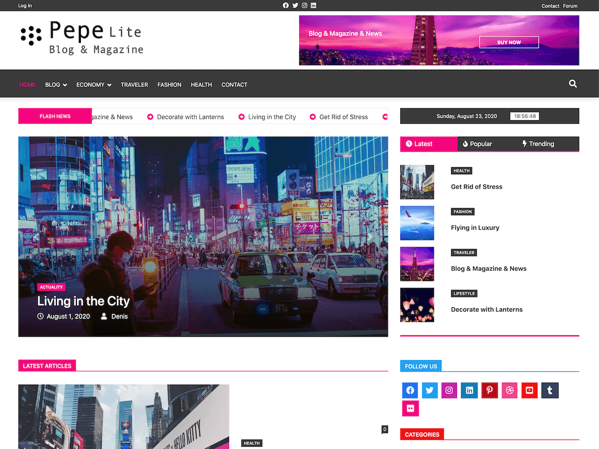 Screenshot of the Pepe Lite WordPress theme